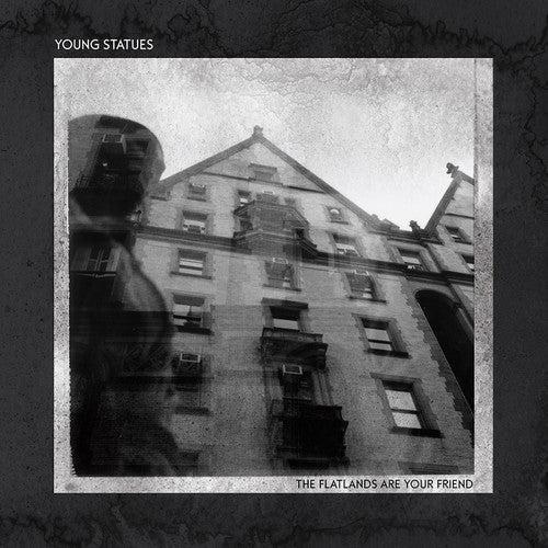 The Flatlands Are Your Friend [Vinyl]