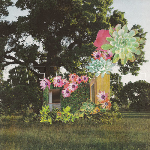 Home Everywhere [Vinyl]
