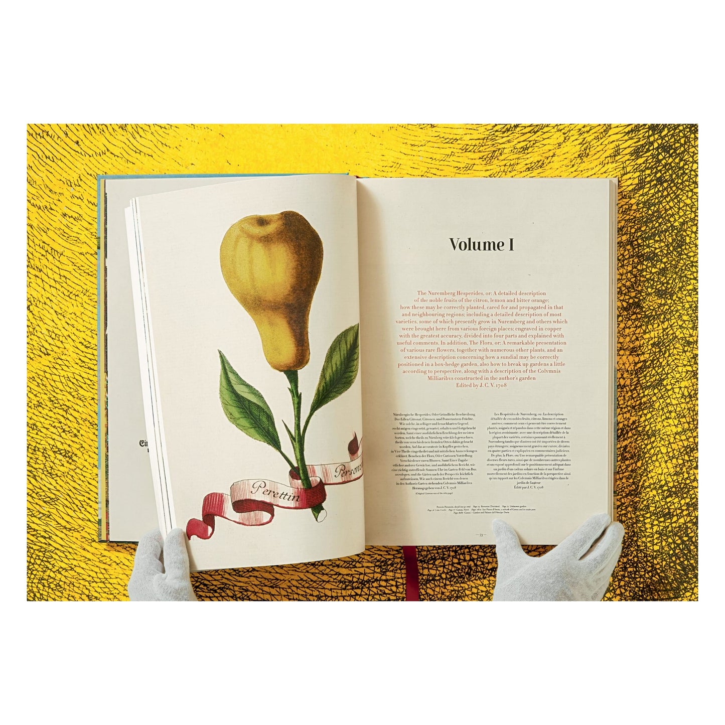 J. C. Volkamer. The Book of Citrus Fruits (German, French, English)