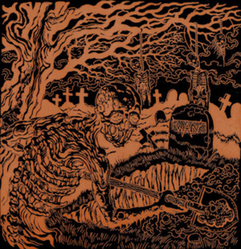 Dig Up The Past [LP]