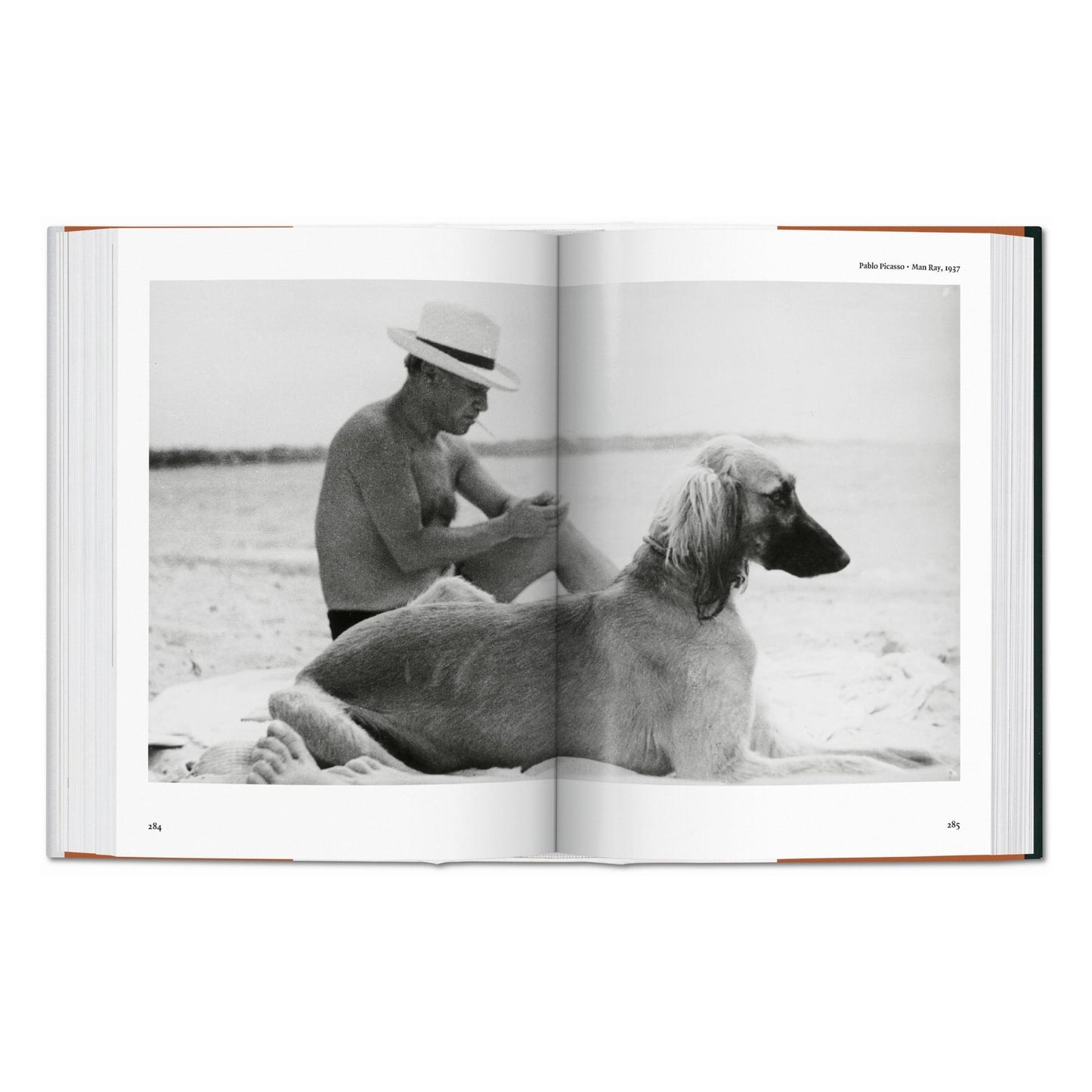 The Dog in Photography 1839–Today (German, French, English)