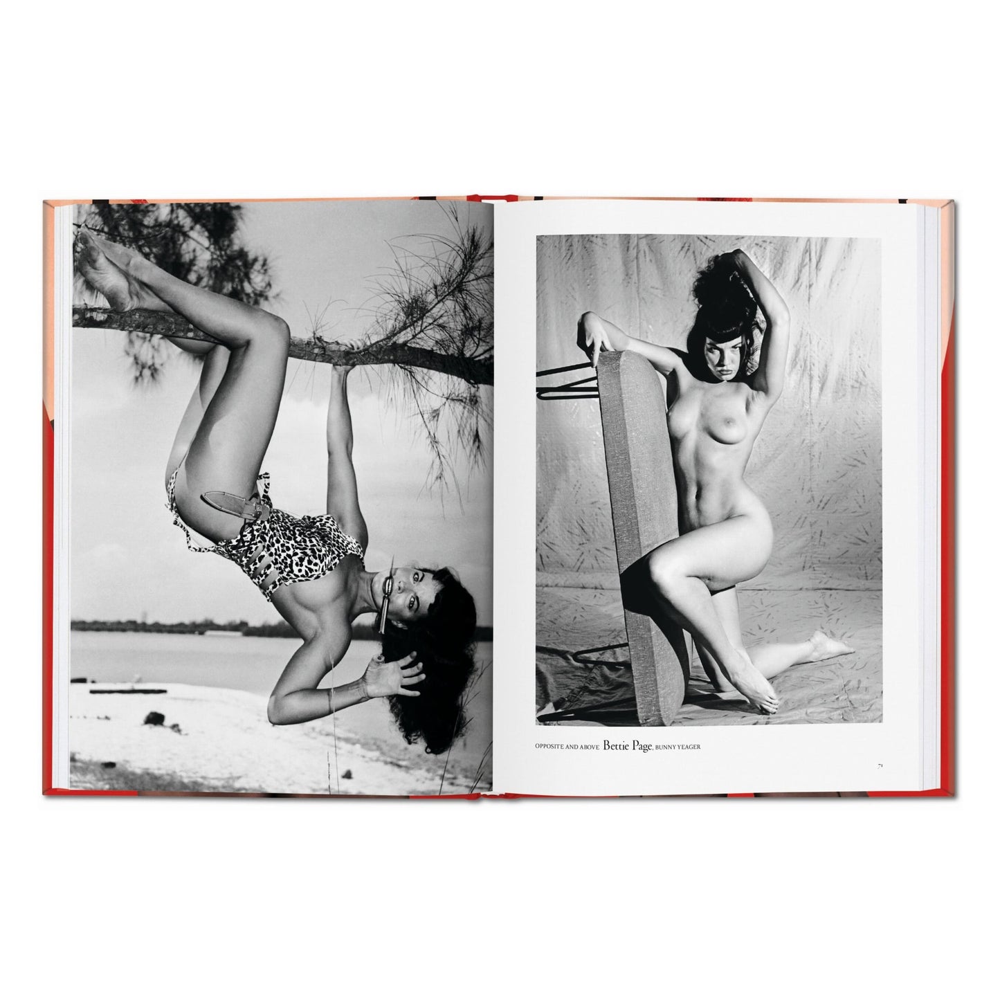 The Little Big Book of Legs (German, French, English)