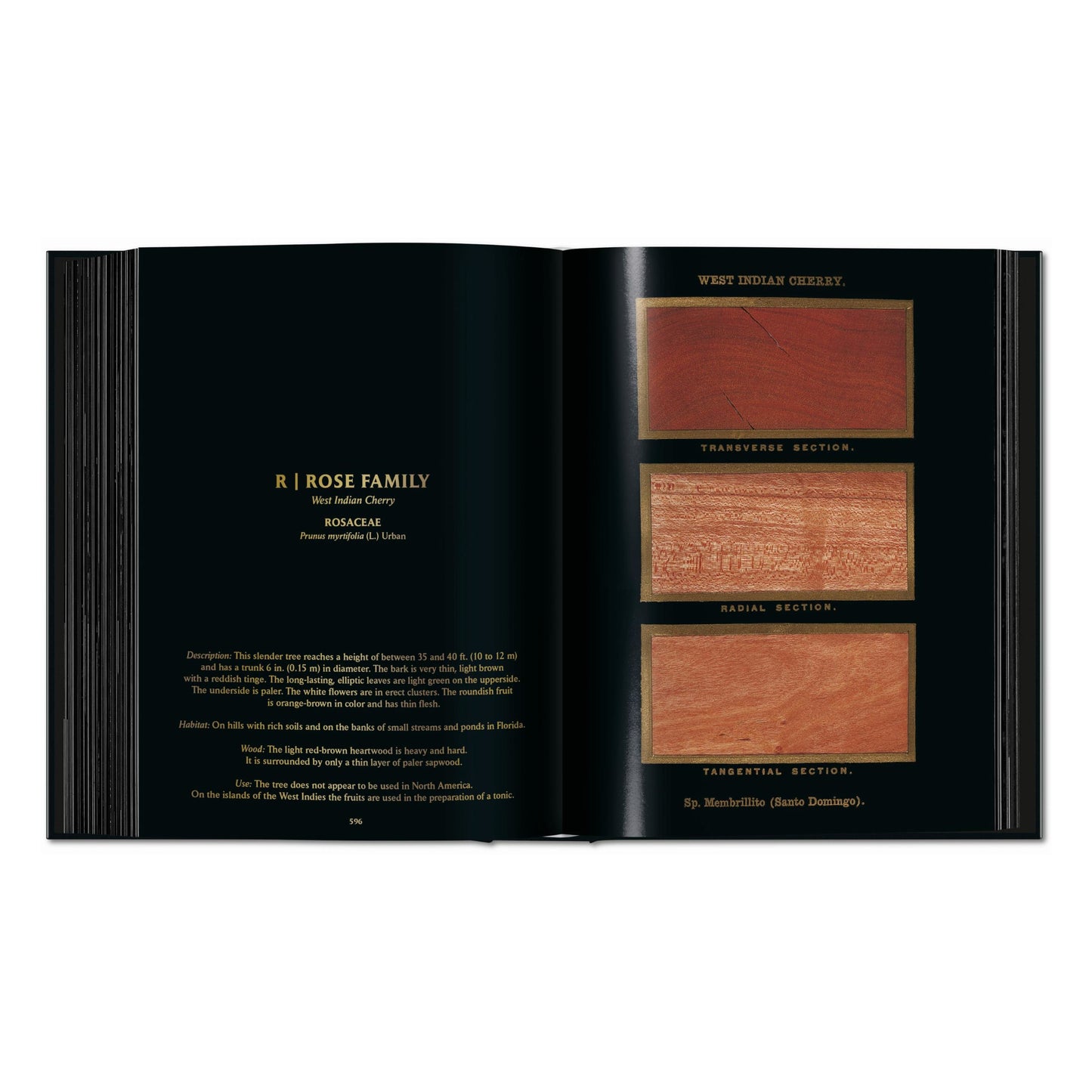 Romeyn B. Hough. The Woodbook. The Complete Plates (English)