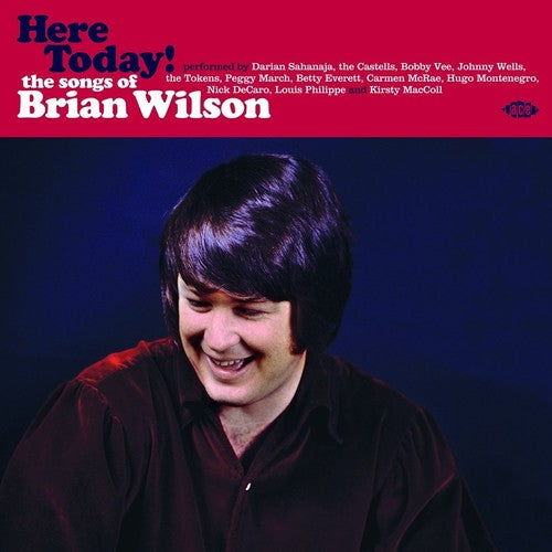 Here Today! Songs Of Brian Wilson / Various [LP]