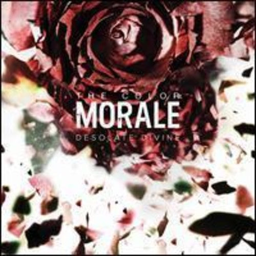 Desolate Divine [LP]