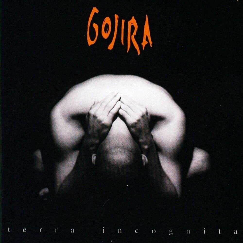 Terra Incognita [LP]