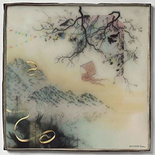 Novo Amor - Birthplace (Vinyl LP)