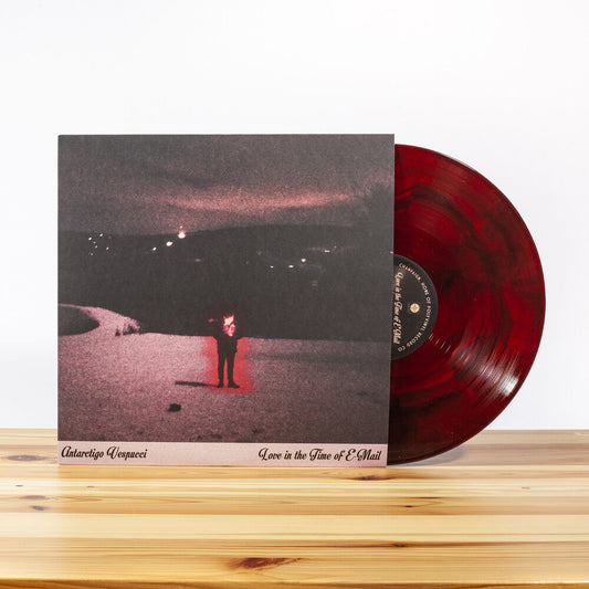 Love In The Time Of E-mail [LP]