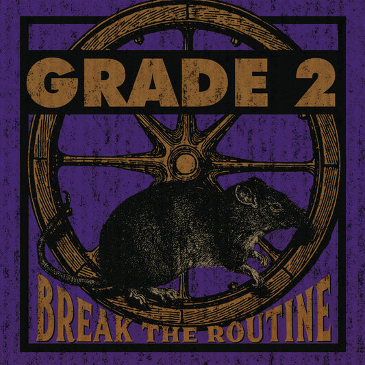 Break The Routine [LP]