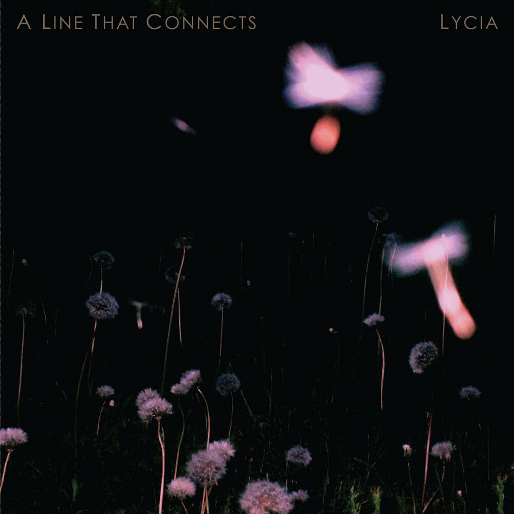 A Line That Connects (Gate) [Limited Edition] (Ofgv) (2pk)