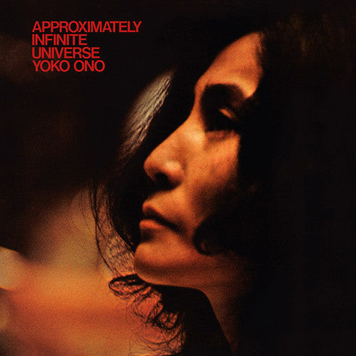Approximately Infinite Universe [2LP]