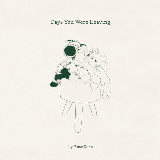 Days You Were Leaving [LP]