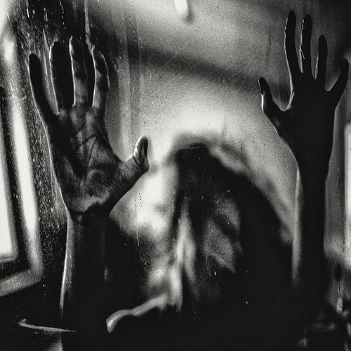 Behind The Shadow Drops - Harmonic [LP]