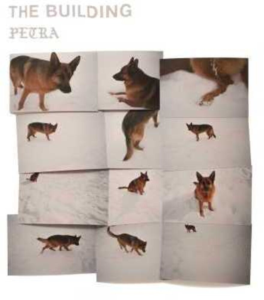 PETRA [LP]