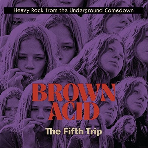 Brown Acid - The Fifth Trip / Various [LP]