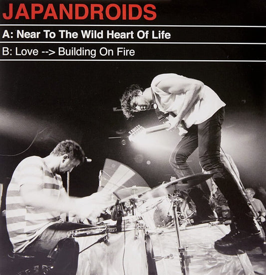 Near To The Wild Heart of Life/Love Building A Fire [Vinyl Single]