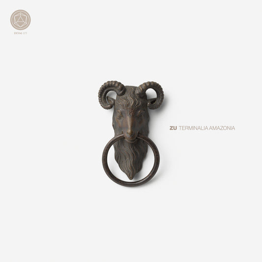 Terminalia Amazonia [LP]
