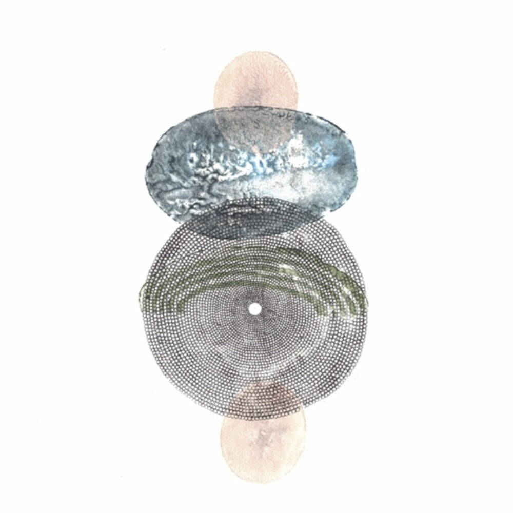 Zachary Hay [LP]