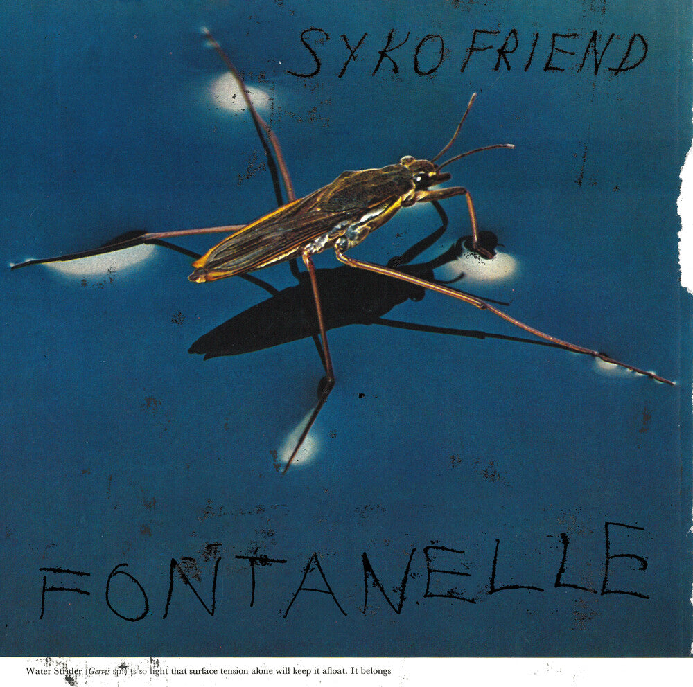 Fontanelle [LP]