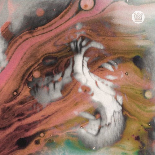 Strange Boy / No Surprise [LP]