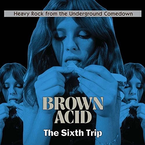 Brown Acid - The Sixth Trip / Various - Brown Acid - The Sixth Trip / Various [LP]