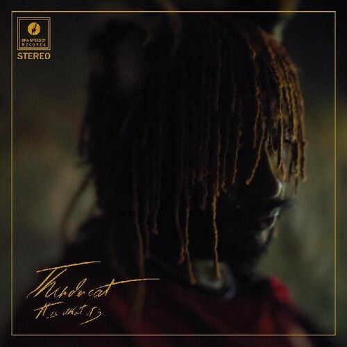 Thundercat - It Is What It Is (Vinyl LP)