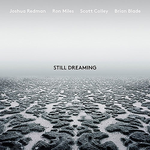 Still Dreaming [LP]