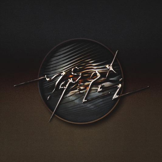 Enter The Mirror [LP]