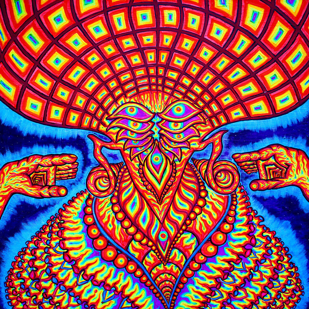 The Universe Inside [LP]