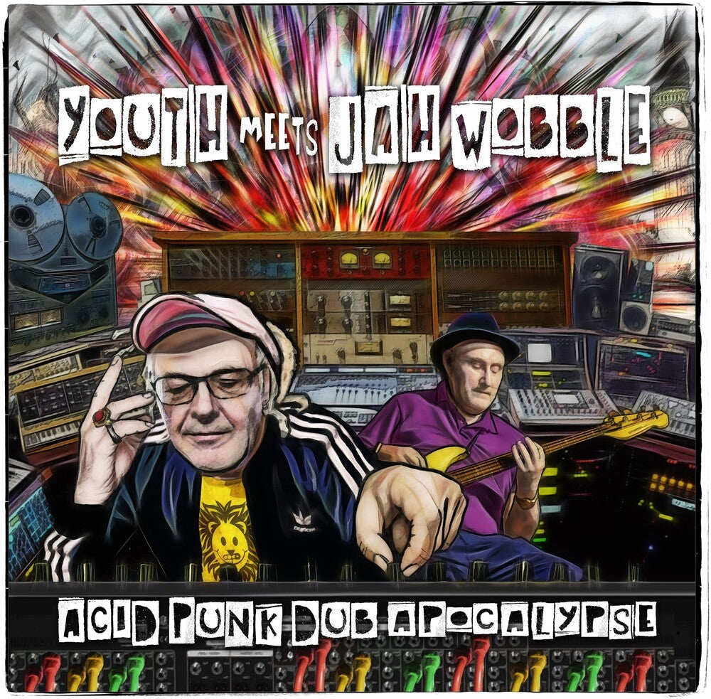 Acid Punk Dub Apocalypse [LP]
