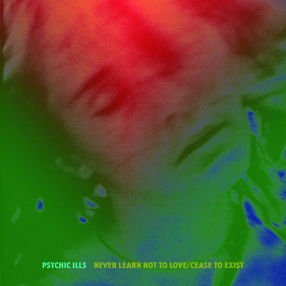 Never Learn Not To Love / Cease To Exist [7" Vinyl]