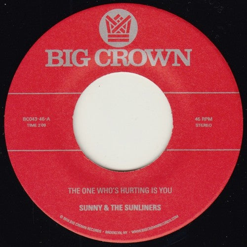 The One Who's Hurting You Is / Should I Take You Home [7" Vinyl]