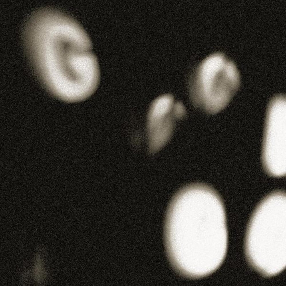 Goons Be Gone [LP]