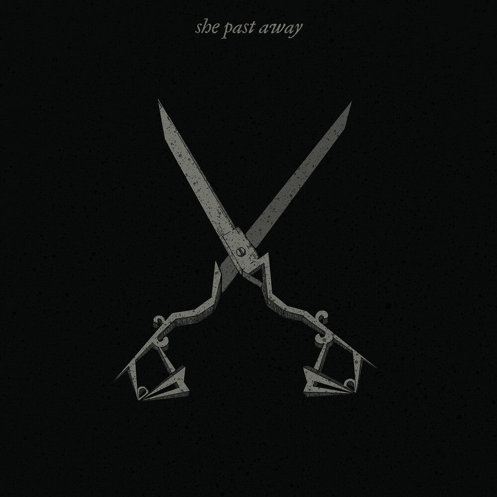 X [LP]