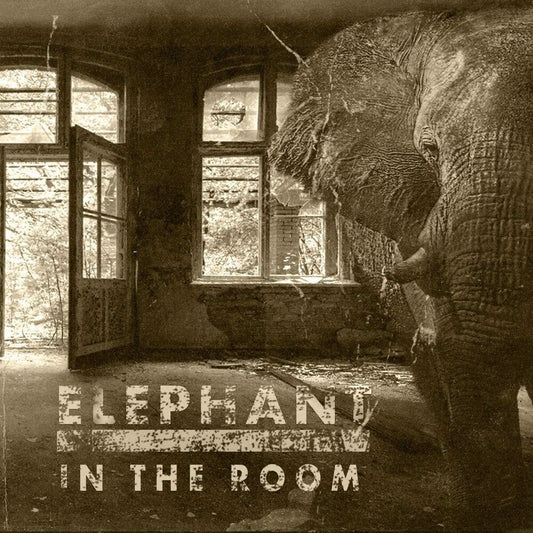 Elephant In The Room [LP]