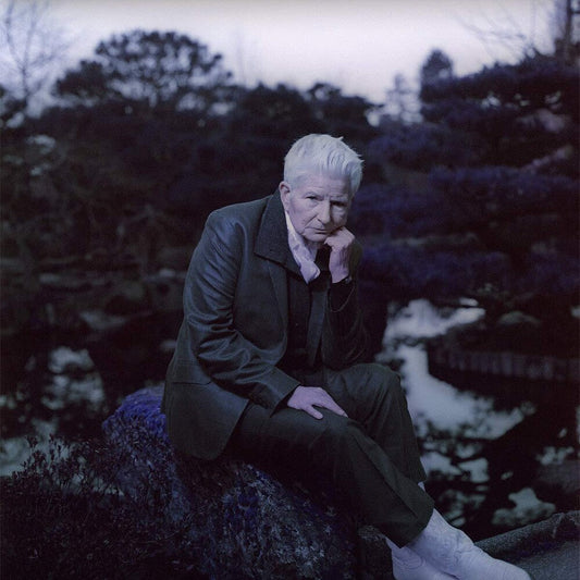 Androgynous Mary [LP]