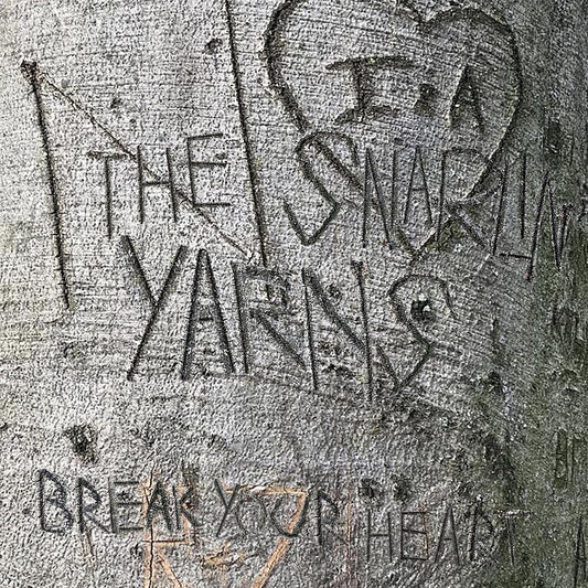 Break Your Heart [LP]
