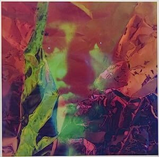 Searching For Dimorphodons [12" Vinyl]