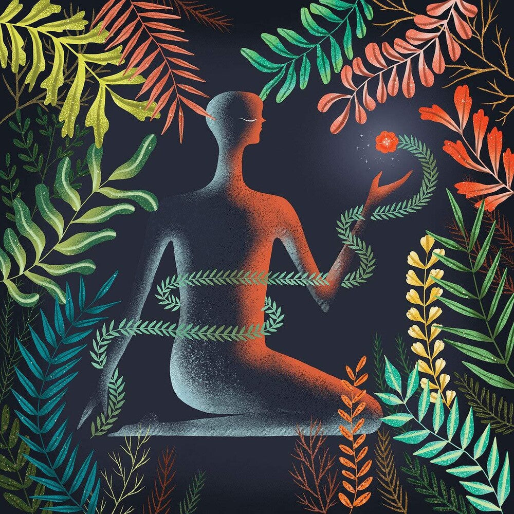 Don't Shy Away [LP]