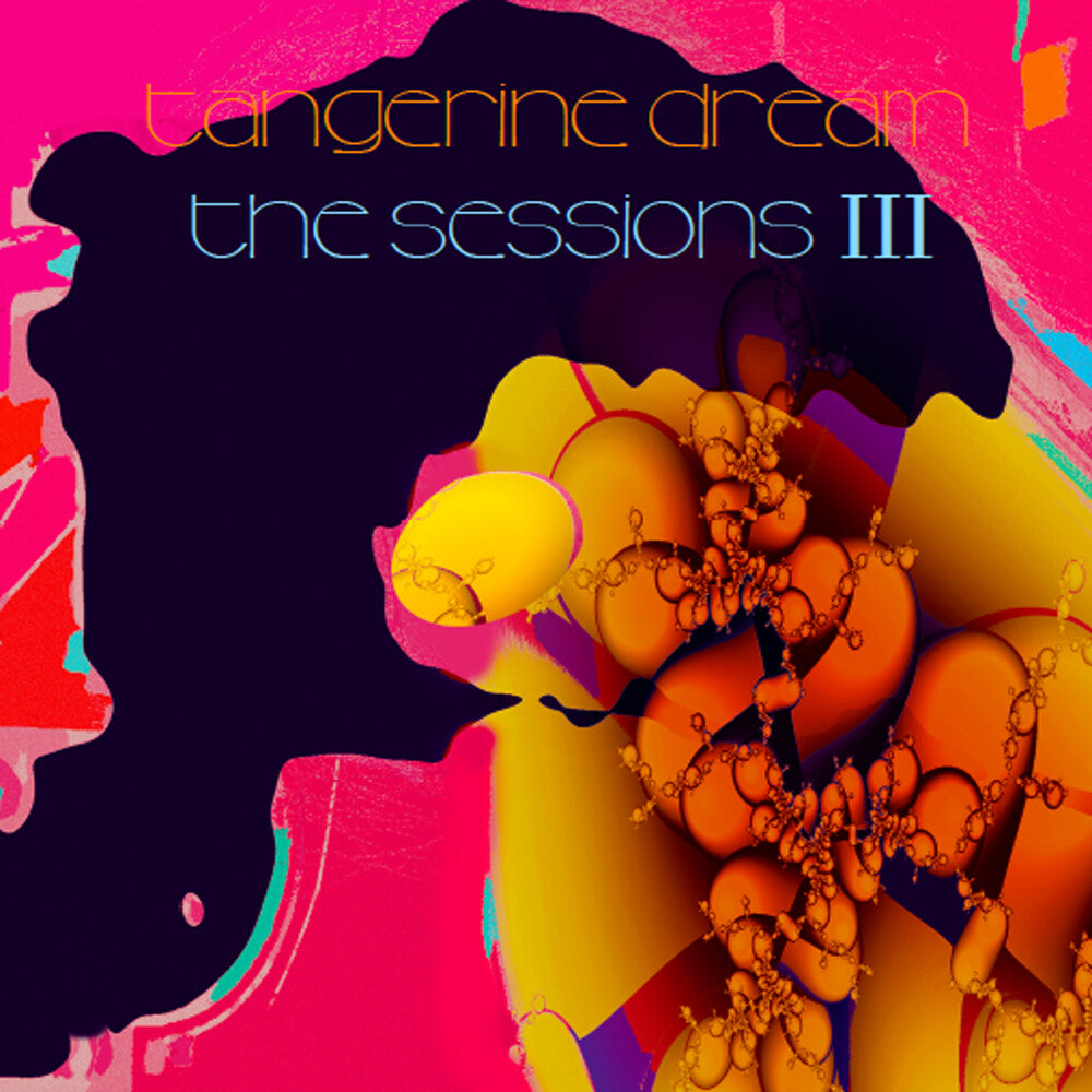 the sessions III [LP]