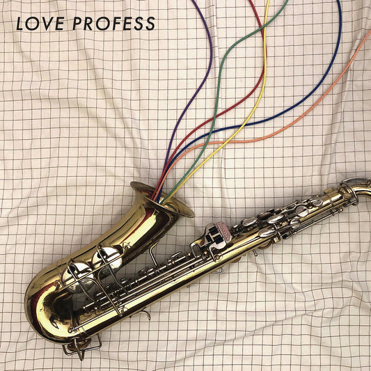 Love Profess [LP]