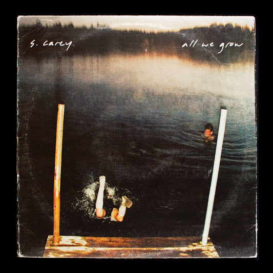 S. Carey 'All We Grow (Ten Year Anniversary Edition) (Seaglass Wave Translucent Vinyl) [LP]