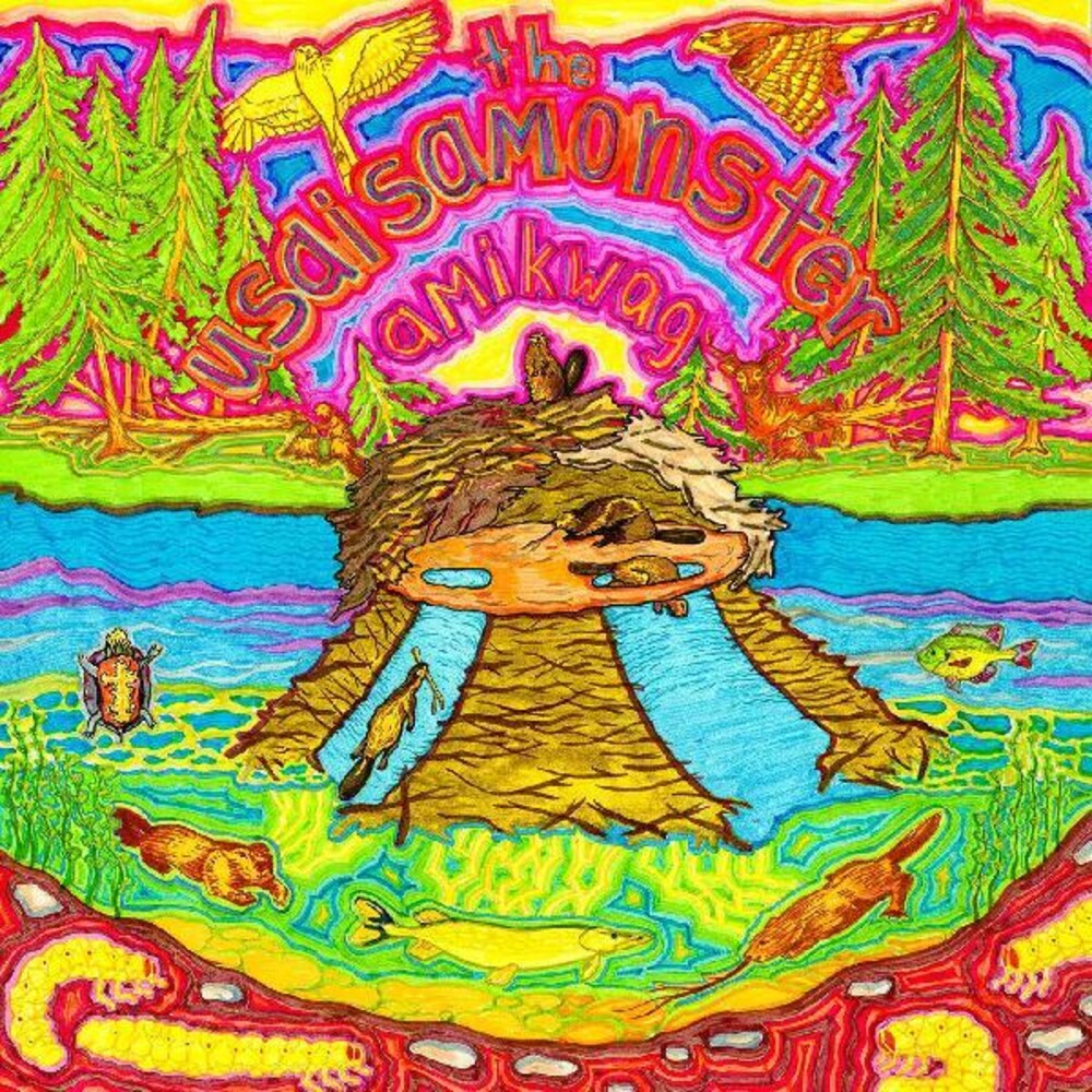 Amikwag [LP]