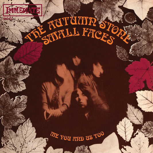 The Autumn Stone [7" Vinyl]
