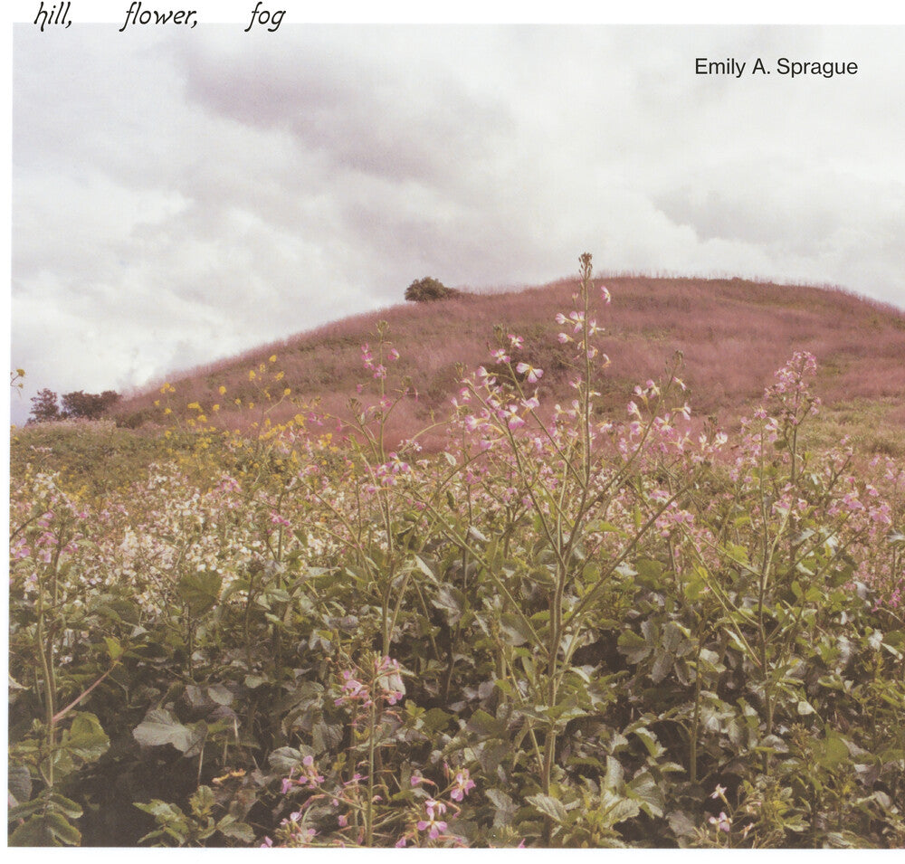 Hill, Flower, Fog [LP]