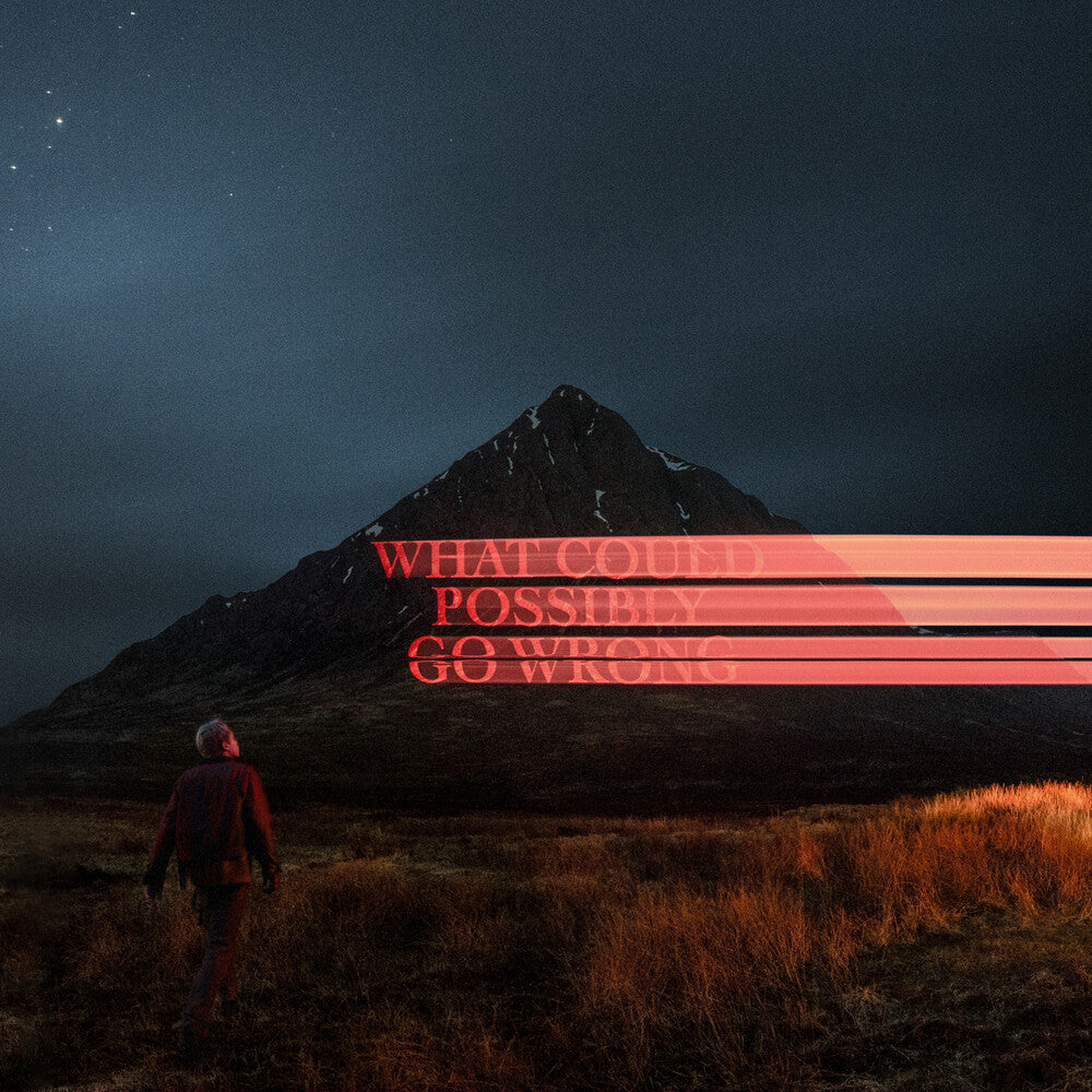 What Could Possibly Go Wrong [LP]
