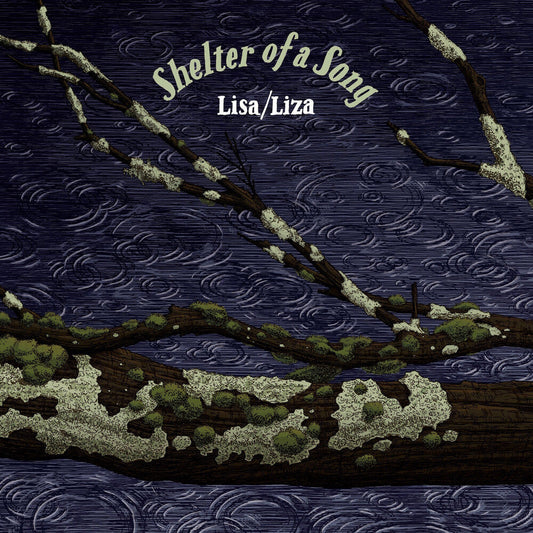 Shelter Of A Song [LP]