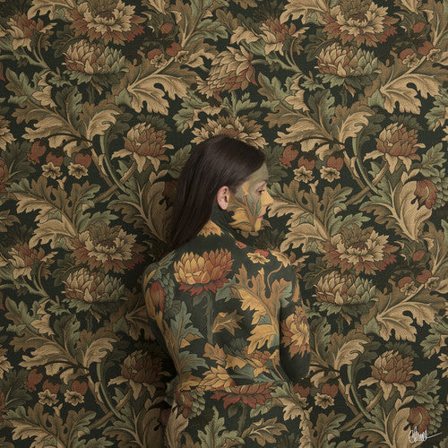 In Plain Sight (Blk) [180 Gram]