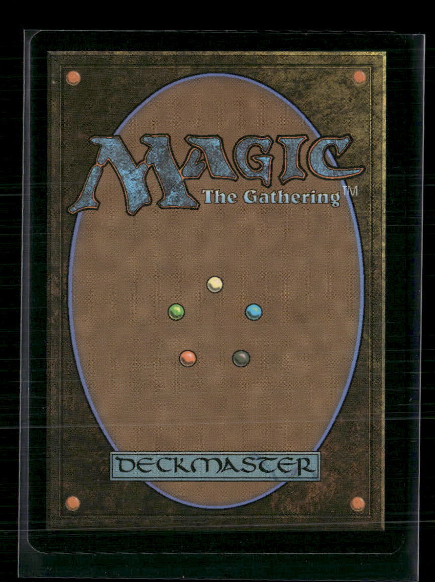 Marvel's Spider-Man Multiversal Passage (Borderless) #206