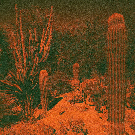 Anticipation [Colored Vinyl] (Purp) [Indie Exclusive]